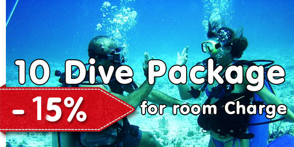 If two people get a 10 dive package each, get 15% off room charge (based on 2 people sharing and not available during Christmas and New Year) This offer is only available in Hikkaduwa.
